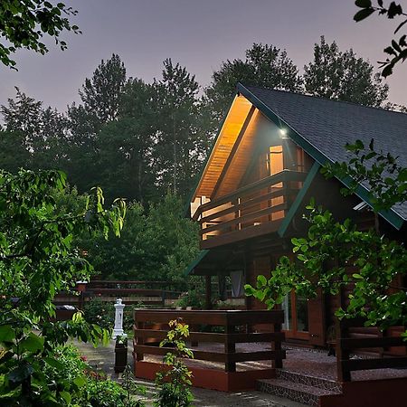 Villa Vikendica Crkvina Kolašin Esterno foto