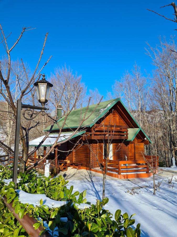 Villa Vikendica Crkvina Kolašin Esterno foto