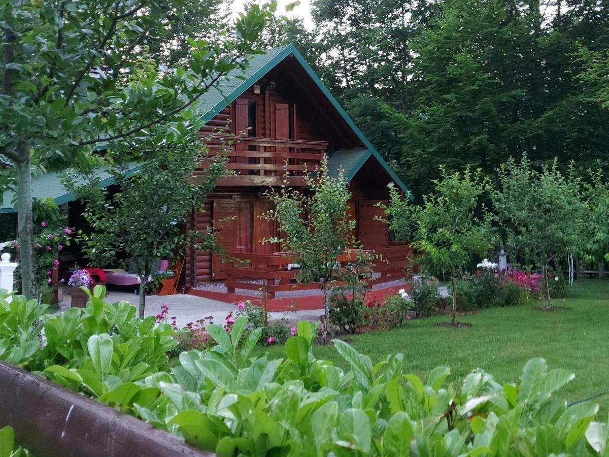 Villa Vikendica Crkvina Kolašin Esterno foto