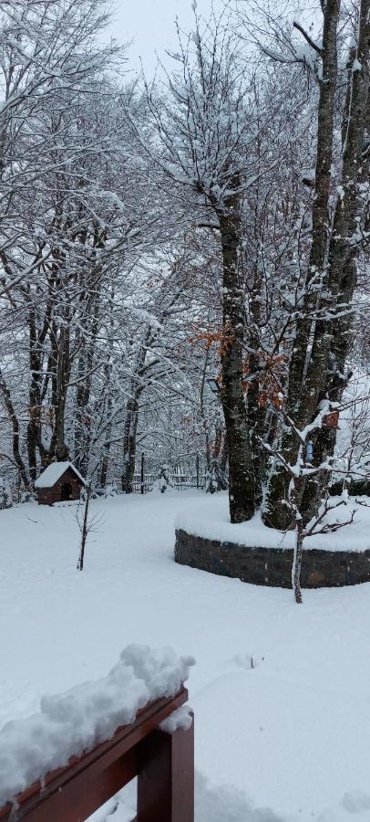 Villa Vikendica Crkvina Kolašin Esterno foto