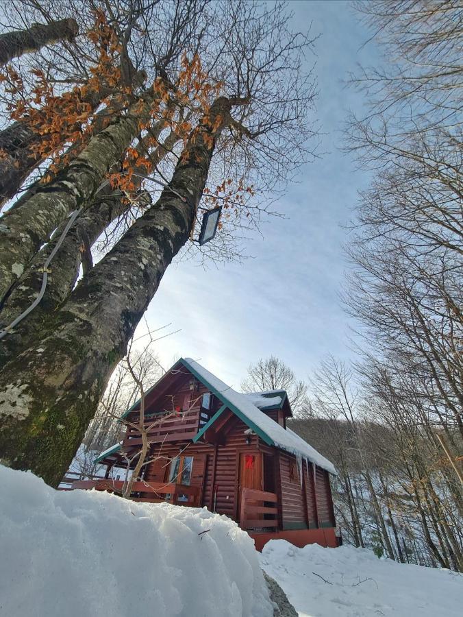 Villa Vikendica Crkvina Kolašin Esterno foto