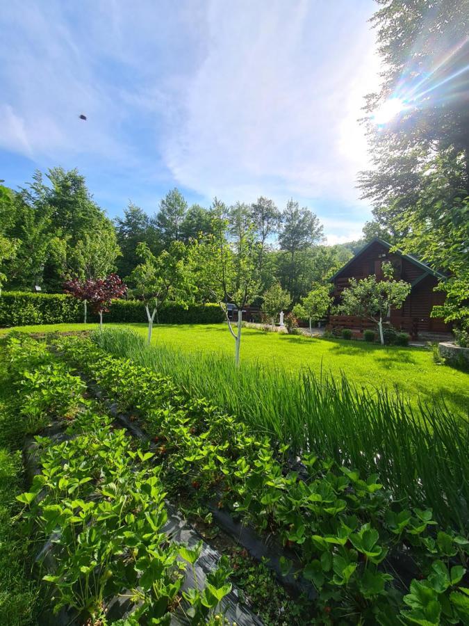 Villa Vikendica Crkvina Kolašin Esterno foto