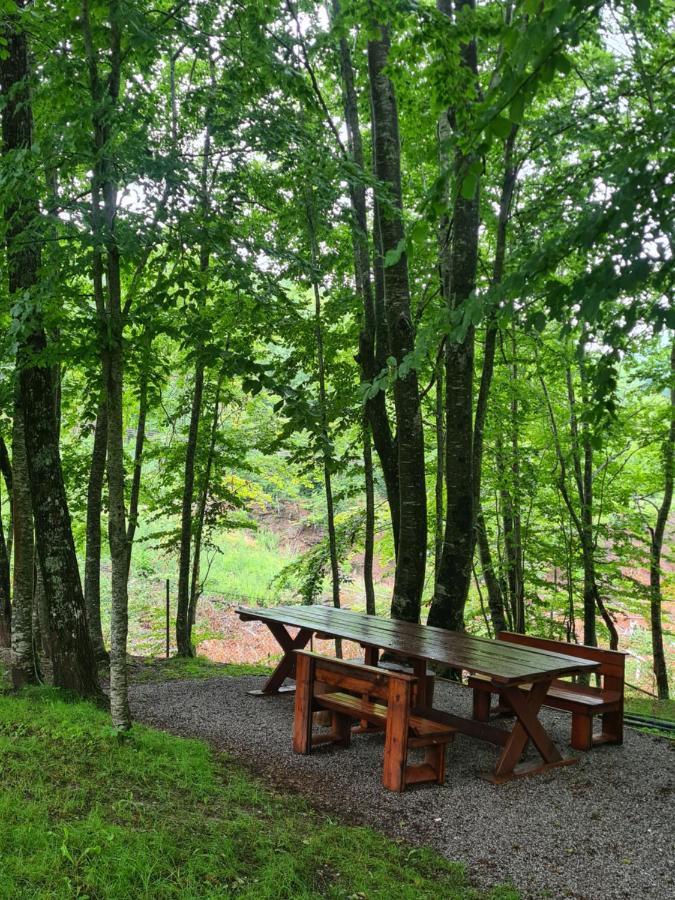 Villa Vikendica Crkvina Kolašin Esterno foto