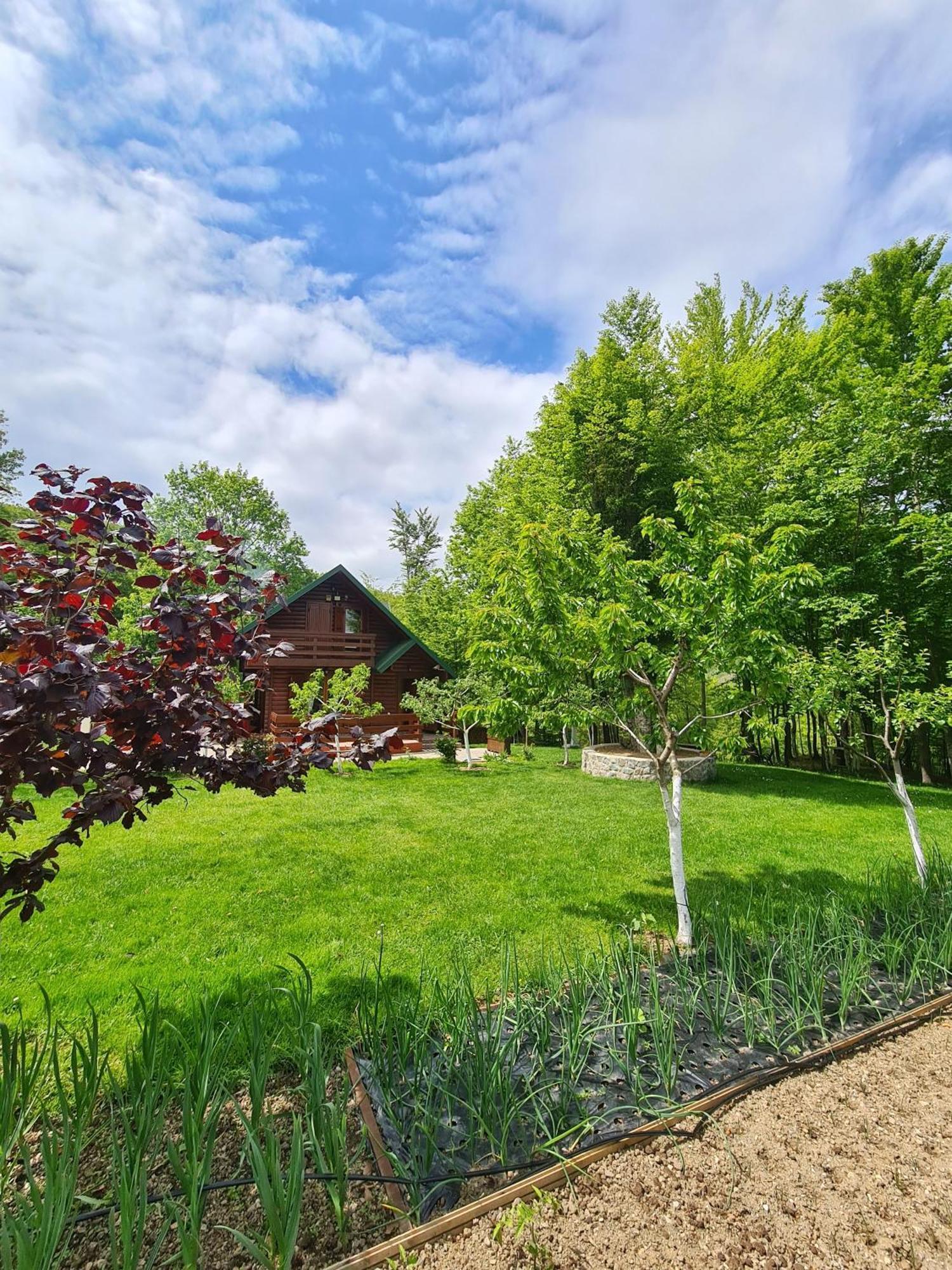 Villa Vikendica Crkvina Kolašin Esterno foto