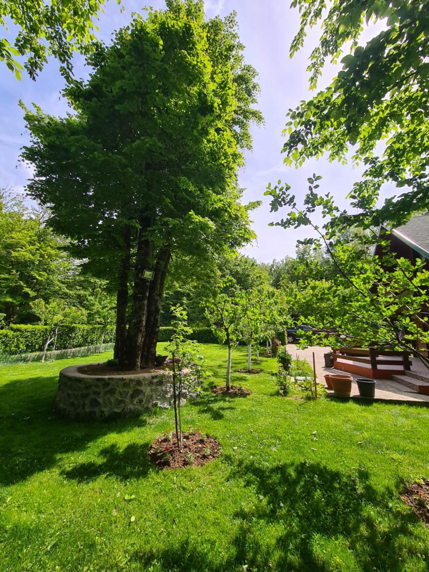 Villa Vikendica Crkvina Kolašin Esterno foto