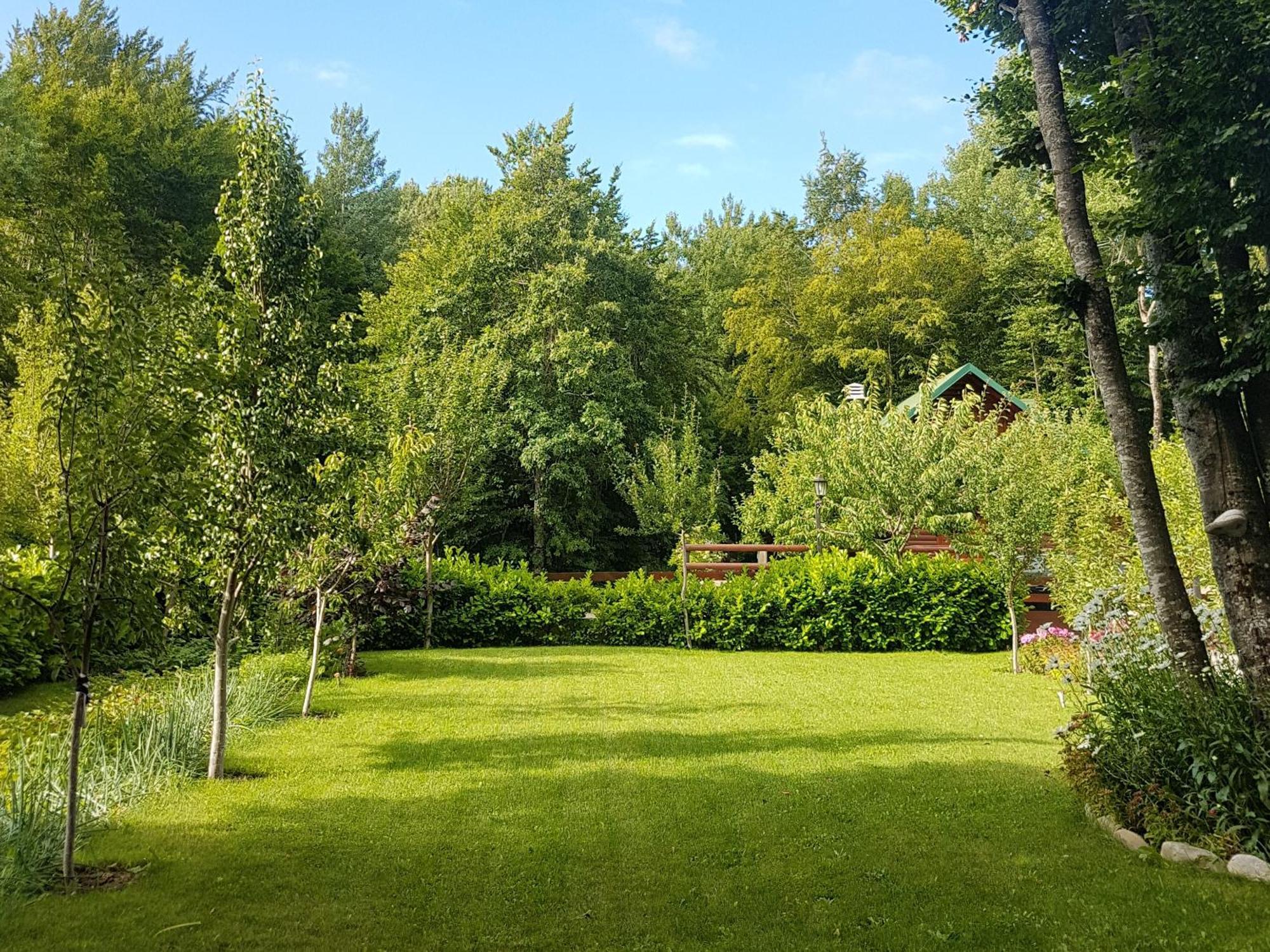 Villa Vikendica Crkvina Kolašin Esterno foto
