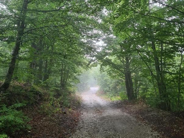 Villa Vikendica Crkvina Kolašin Esterno foto